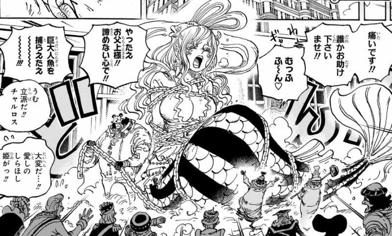 しらほし チャルロス