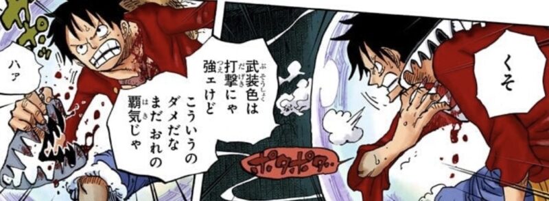 武装色でホーディの牙