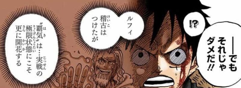 レイリー 覇気 修行