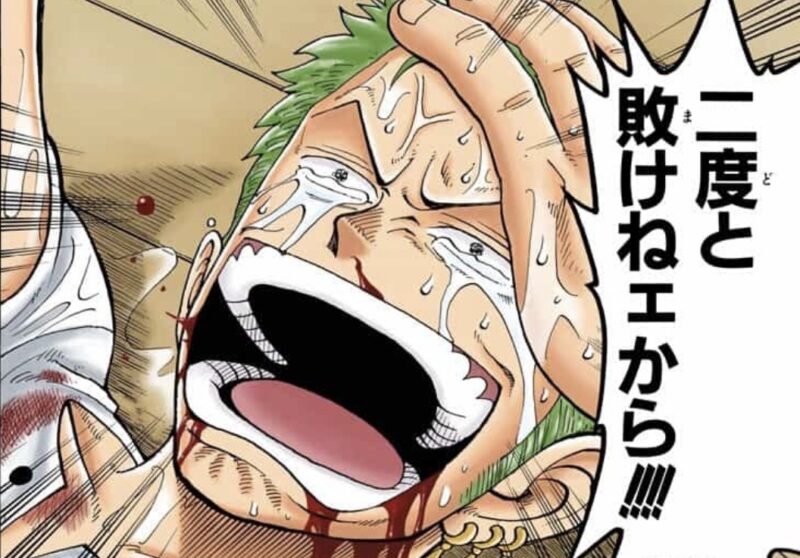 ゾロ　二度と