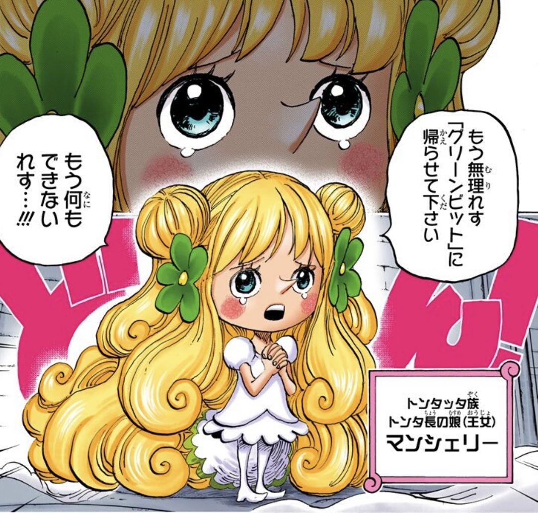 曼雪莉 - 花朵名字 - ONE PIECE